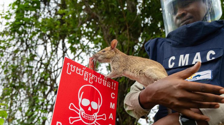 Фото: apnews
