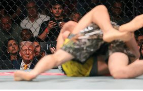 Трамп анонсував проведення бою UFC на території Білого дому