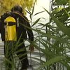 Сканують і очищають: як розміновують небезпечні водойми