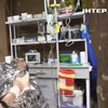 Без сну і страху: як медики на фронті витягують бійців із того світу