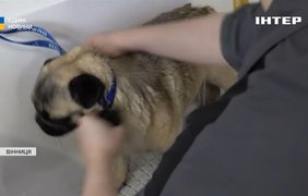 У Вінниці ветеран війни відкрив зоопростір для тварин