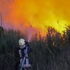 Пожежі охоплюють Україну: за добу - 393 випадки, є загиблі та постраждалі