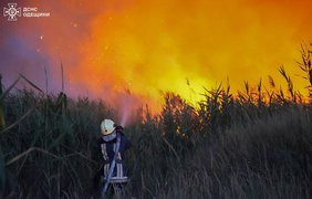 Пожежі охоплюють Україну: за добу - 393 випадки, є загиблі та постраждалі