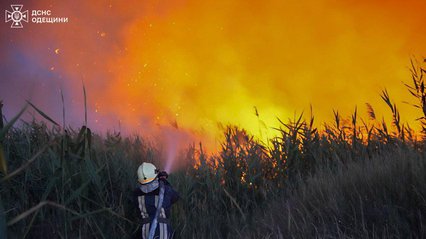 Пожежі охоплюють Україну: за добу - 393 випадки, є загиблі та постраждалі