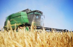Посуха, сарана та росіяни знищують врожай: скільки зерна зберуть аграрії цього літа