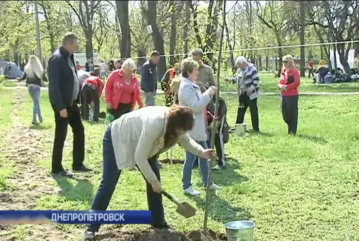 В Днепропетровске основали аллею памяти героев