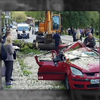 У Києві дерево смертельно травмувало 5-річну дівчинку