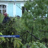 На Хмельниччині буревій повиривав дерева та пошкодив будинки