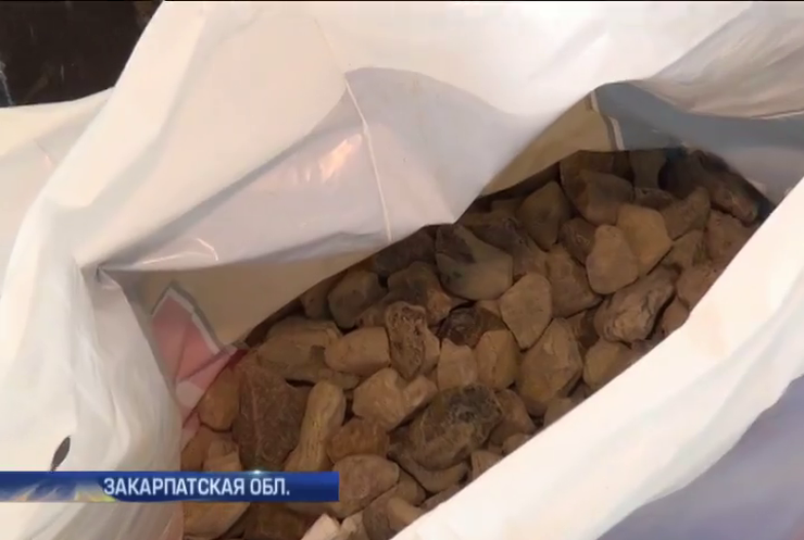 На Закарпатье литовец пытался вывезти 36 кг янтаря