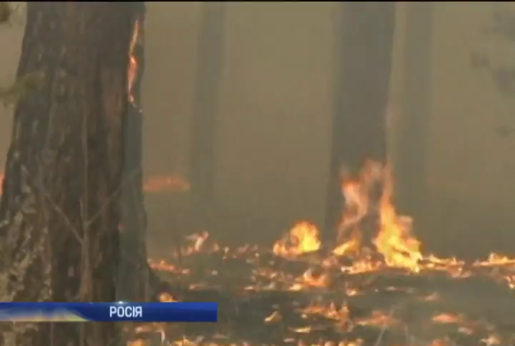 В Сибіру палають 48 тисяч гектарів лісу