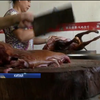 У Китаї протестують проти фестивалю м'яса собак