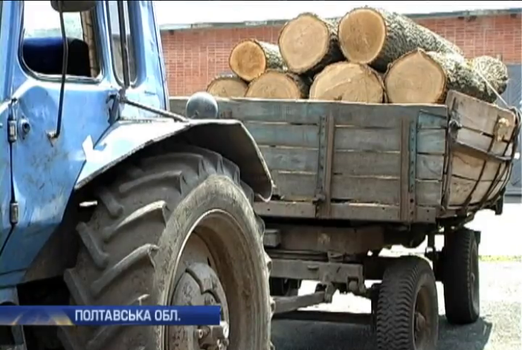 На Полтавщині затримали вантажівку спиляних дубів