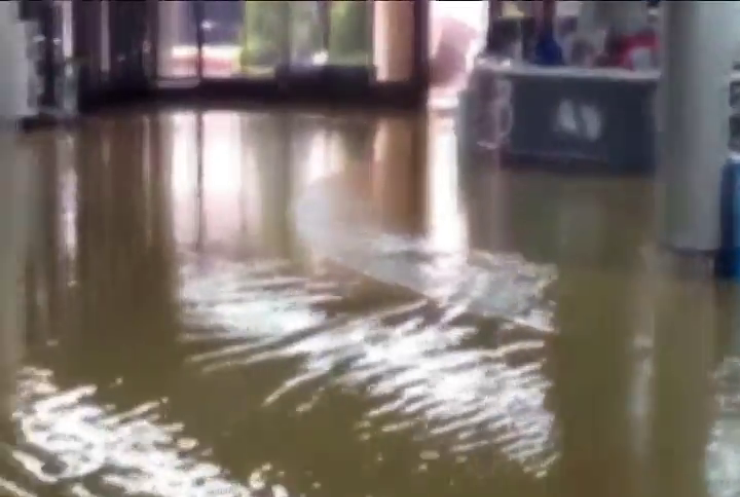Потоп в Сочи уничтожил сотни квартир (видео)