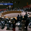 Радбез ООН створить трибунал по збитому Боїнгу-777