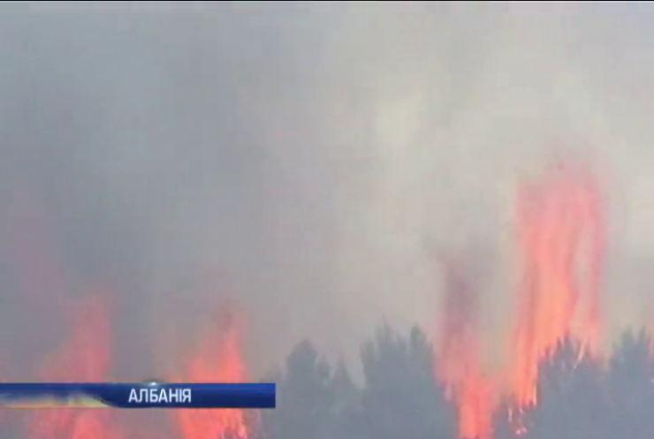В Албанії палають кількадесят гектарів лісу