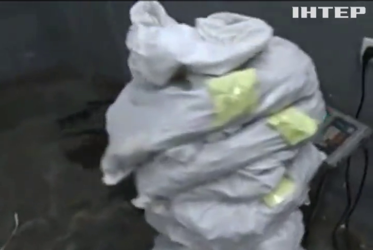Контрабандистов поймали с 143 килограммами янтаря на границе с Польшей