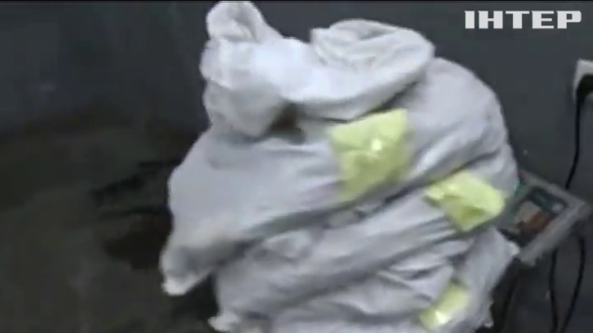 Контрабандистов поймали с 143 килограммами янтаря на границе с Польшей