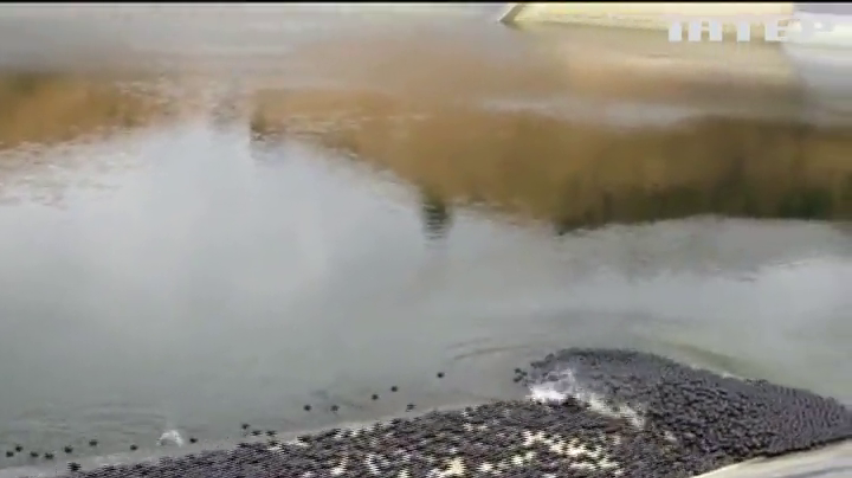 Каліфорнія захистить водойми від посухи пластмасою