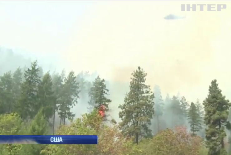 У США у палаючому лісі загинули 3 пожежників