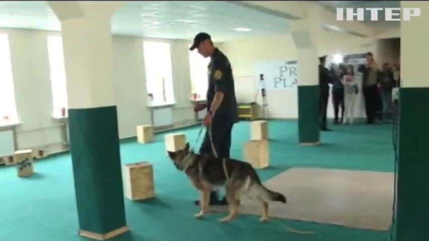 Собаки с Сумщини шукатимуть міни у зоні АТО