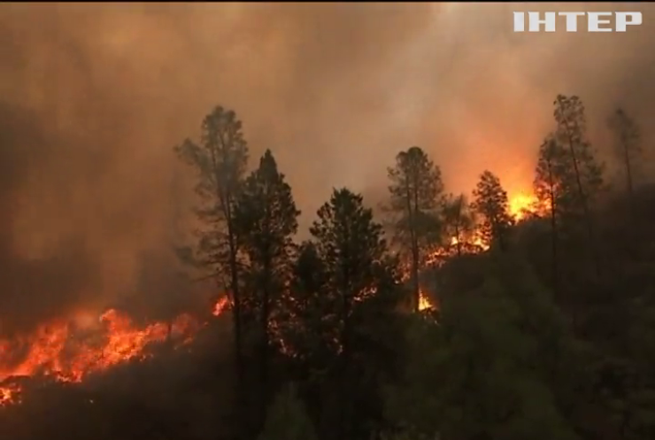 У Каліфорнії вогонь знищив понад 500 будинків