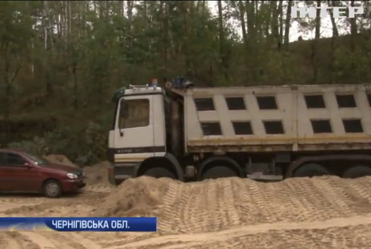 На Чернігівщині знищили ліс, щоб красти пісок (відео)