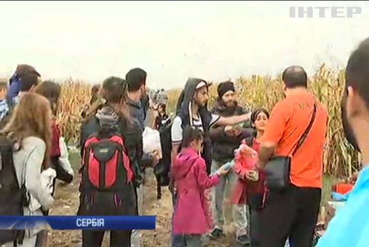 Хорватія та Угорщина пересварилися через мігрантів