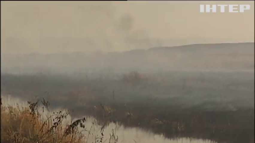 Экологи предлагают затопить торфяники под Киевом