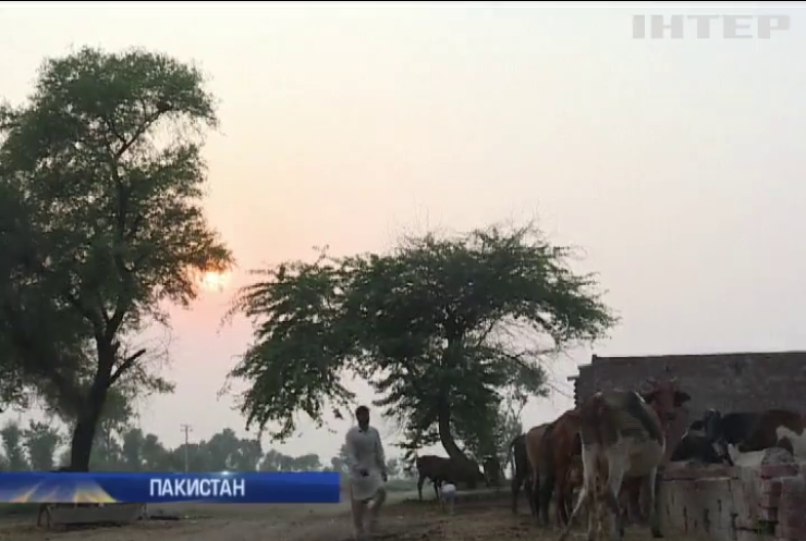 Пакистану загрожує голод через глобальне потепління