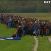 Евросоюзу грозит распад из-за беженцев (видео)