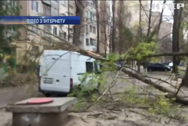 В Одесі буря розтрощила деревами автівки