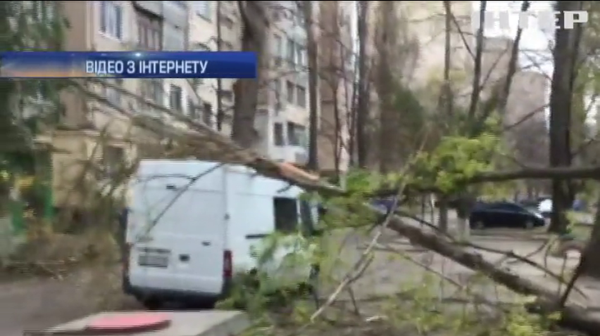 В Одесі буря розтрощила деревами автівки