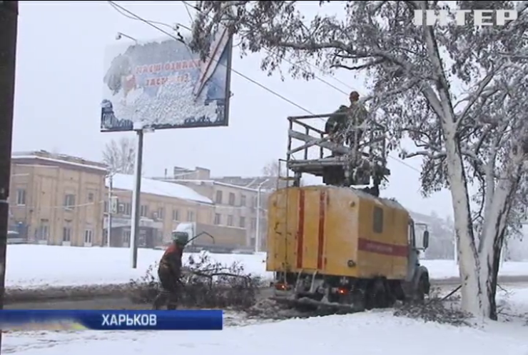 Снегопады обесточили 280 населенных пунктов в Украине