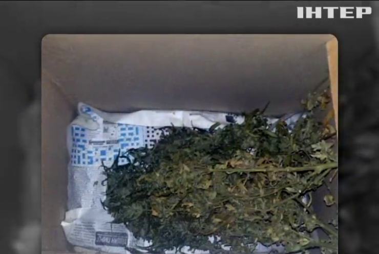 У жителя Краматорська знайшли 4 кілограми марихуани