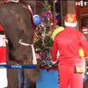 У Таїланді слони поздоровили дітей з Різдвом