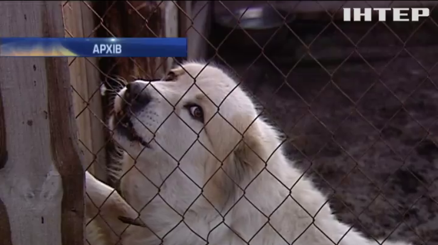 НОВОСТИ за 2015-12-24 08:30
