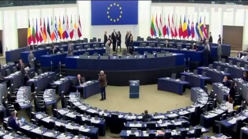 Европарламент поддержал ввод миротворцев на Донбасс