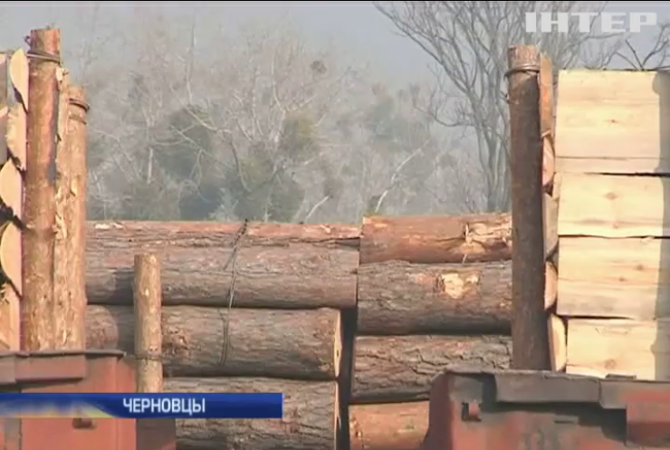 На Буковине полиция игнорирует контрабанду леса