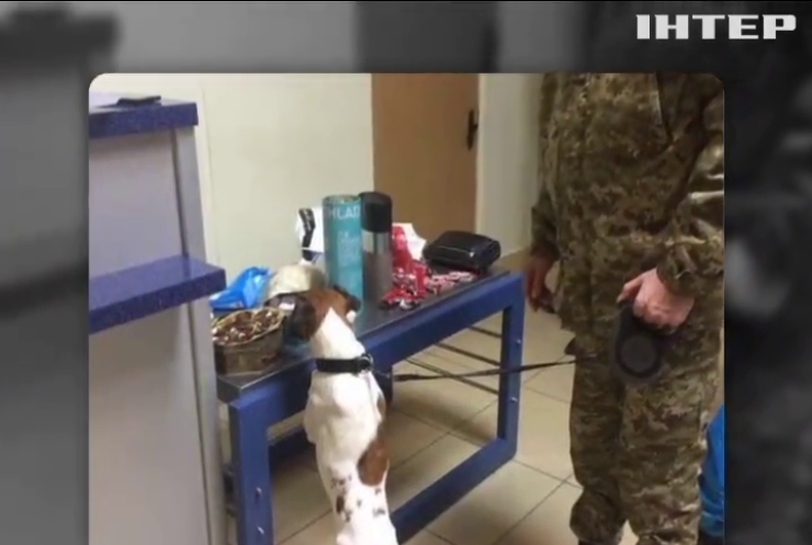 В аеропорту Одеси пес знайшов кокаїн 