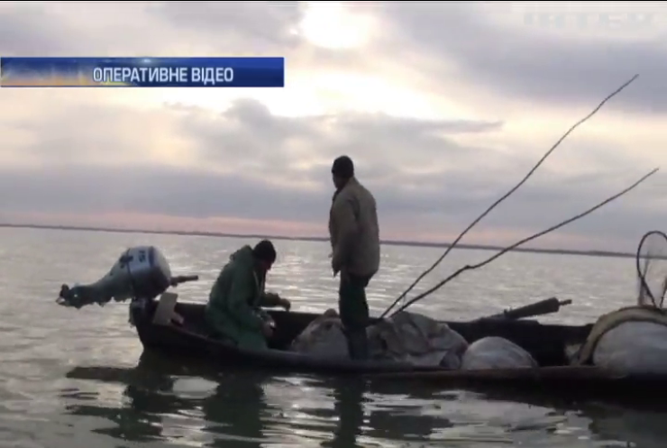 На Одещині у браконьєрів вилучили 700 кг риби