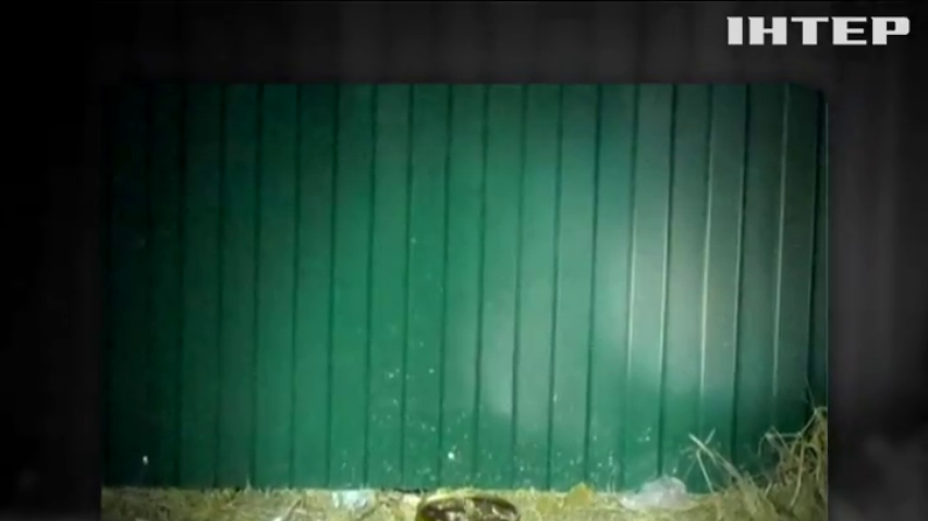У Черкасах підірвали димову шашку
