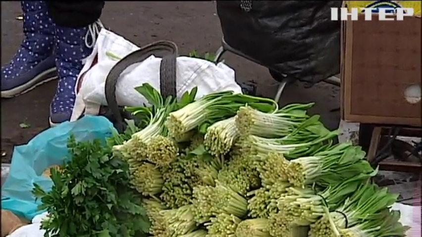 В Києві екологи полюють на продавців черемші 