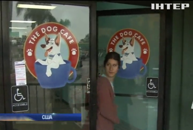 У США відкрили кафе для собак