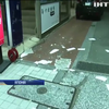 Землетрус в Японії вбив дев'ятьох людей