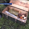 Біля Дніпропетровська знайшли 11 гранатометів