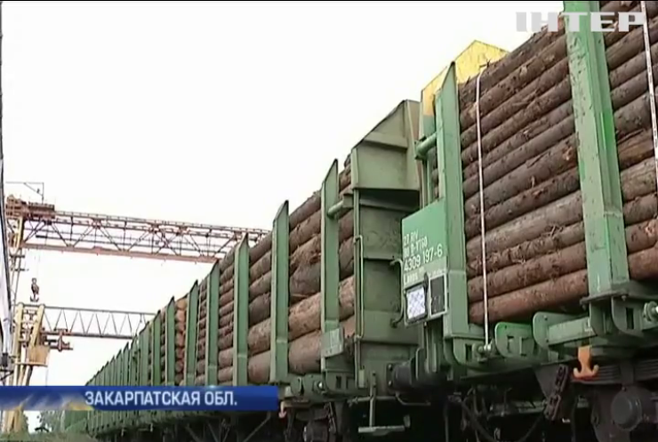 На Закарпатье не могут проверить поезд с древесиной на легальность