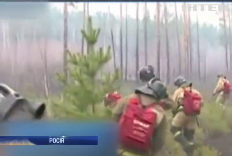 Пожежі у Росії охопили 23 тисячі гектарів лісу