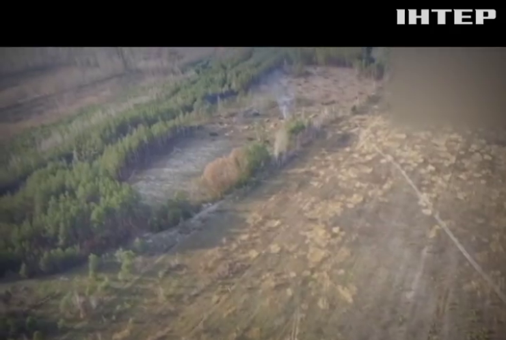Украина может превратиться в пустыню из-за массовой вырубки лесов