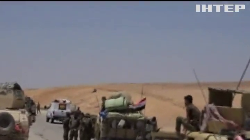 Армія Іраку розпочала звільнення Фаллуджи від джихадистів