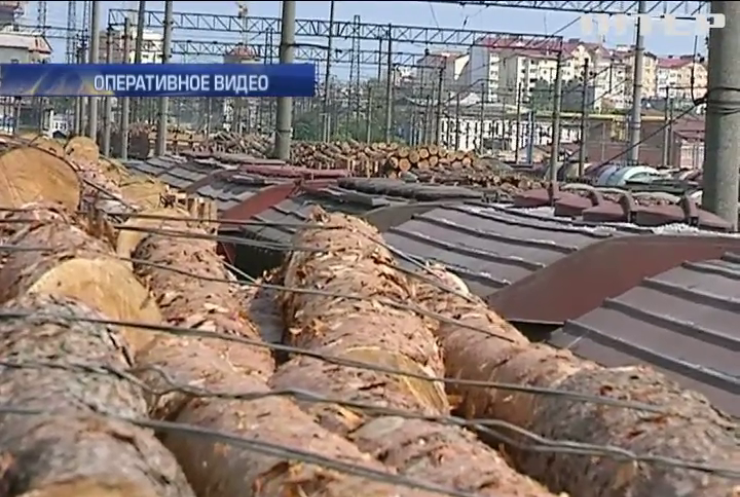 На Львовщине пытались незаконно вывезти 200 вагонов древесины